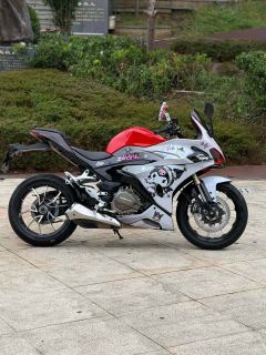QJMOTOR Sai 450 - photo 2