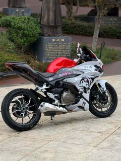 QJMOTOR Sai 450 - photo 3