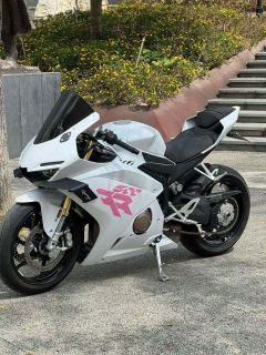 ZXMOTO 500RR - photo 6