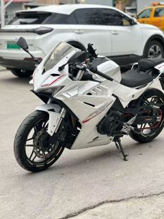 Cyclone RC250 - ფოტო 2