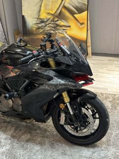 QJMOTOR Sai 600 - photo 3