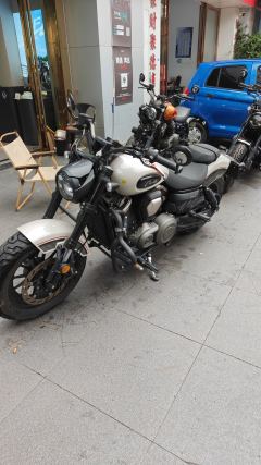 Benda Chinchilla 450 - photo 3