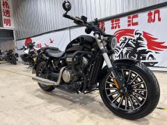 Benda Polestones 03 Gray 300 cc - ფოტო 2