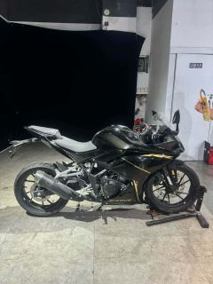 Kayo 250RR Thornbird - ფოტო 3