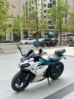 CFMOTO 250SR - ფოტო 5
