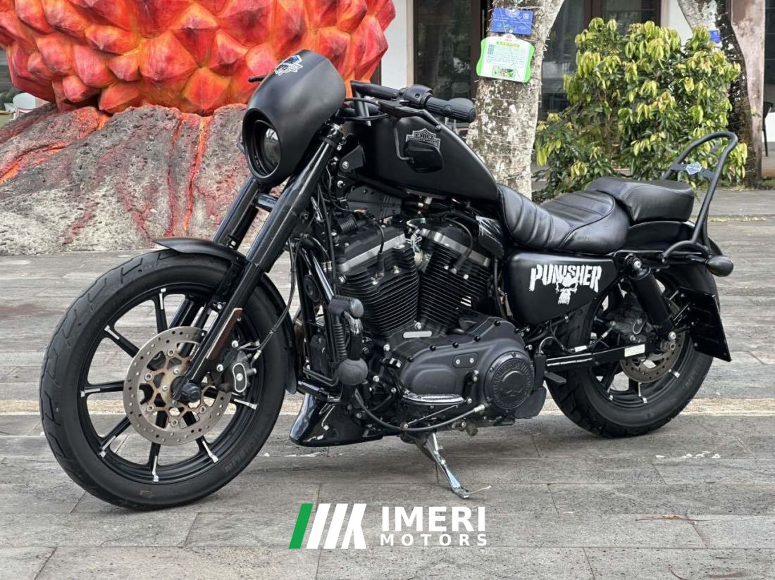 Harley-Davidson 883L SuperLow - motorcycle from China