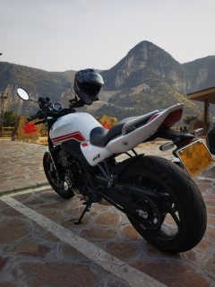 ZXMOTO 500F - photo 6