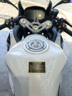 QJMOTOR Sai 450 - photo 7