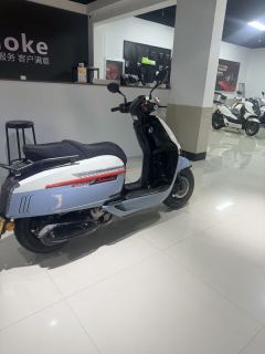 Weiduoliya Sixties 250Si - photo 3