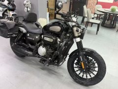 Benda Challenger 300 - photo 7