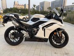 CFMOTO 500SR - ფოტო 2