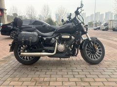 Benda Polestones 03 Gray 300 cc - ფოტო 1