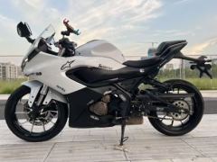 QJMOTOR SRK 250 - фото 1