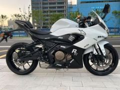 QJMOTOR SRK 250 - фото 5