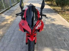 QJMOTOR Sai 550 - photo 4