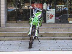 Xinguizun 250 Edition - ფოტო 2