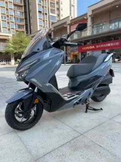 QJMOTOR Hong 250 - ფოტო 3