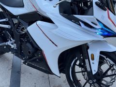 Kayo 250RR Thornbird - ფოტო 3