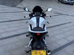 Kayo 250RR Thornbird - ფოტო 6
