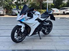 Kayo 250RR Thornbird - ფოტო 7