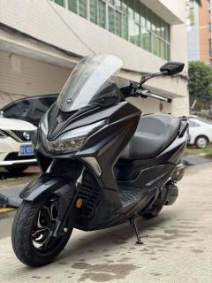 QJMOTOR Hong 250 - фото 2
