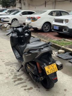 QJMOTOR Hong 250 - фото 5