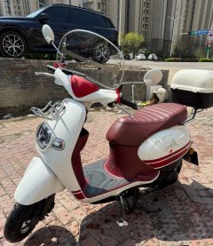 Wuyang Honda Tapas 100 - ფოტო 3