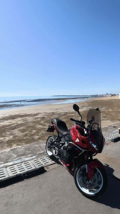 Triumph Tiger Sport 660 - ფოტო 3