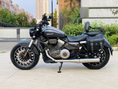 Benda Polestones 03 Gray 300 cc - photo 7