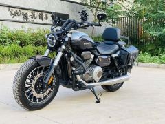 Benda Polestones 03 Gray 300 cc - photo 8