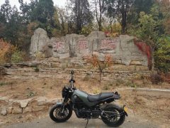 Benelli Lion Cub Leoncino 500 - ფოტო 6