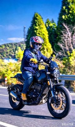 Benelli Lion Cub Leoncino 500 - ფოტო 9