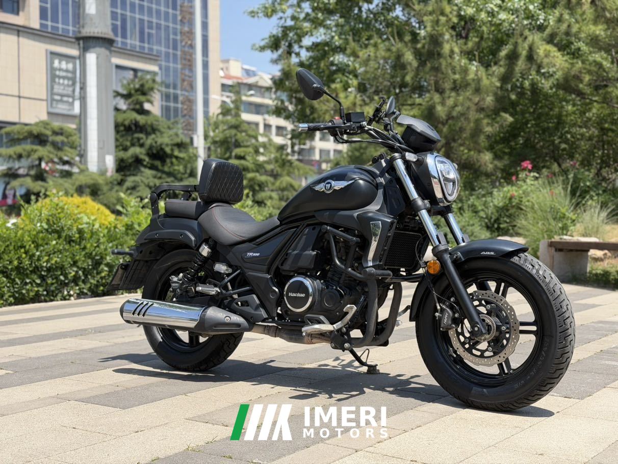 2022 Haojue TR300
