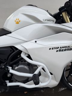 CFMOTO 250SR - ფოტო 9