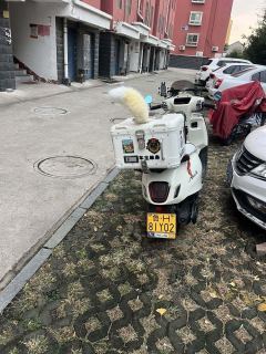 Sundiro Honda NS125LA - ფოტო 3