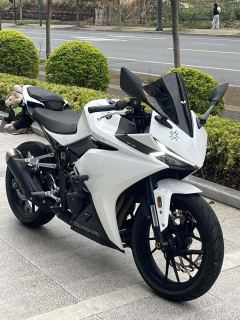 Kayo 250RR Thornbird - ფოტო 1