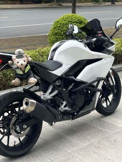 Kayo 250RR Thornbird - ფოტო 3