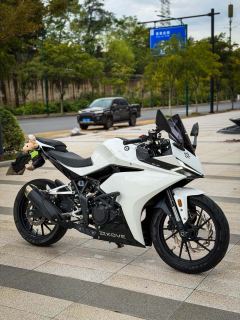 Kayo 250RR Thornbird - photo 1
