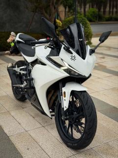 Kayo 250RR Thornbird - photo 2