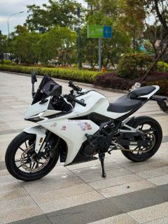 Kayo 250RR Thornbird - photo 3