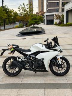 Kayo 250RR Thornbird - photo 5