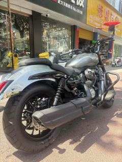 Cyclone AQS250 - ფოტო 2