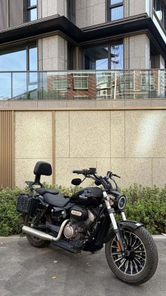 Benda Polestones 03 Gray 300 cc - photo 1
