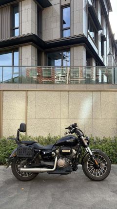 Benda Polestones 03 Gray 300 cc - photo 2