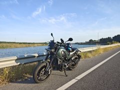 Benelli Lion Cub Leoncino 500 - ფოტო 1