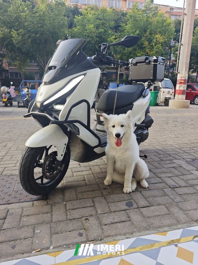 2026 CFMOTO 150SC-F