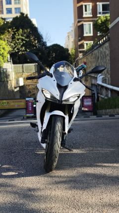QJMOTOR SRK 250 - photo 2