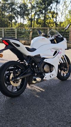 QJMOTOR SRK 250 - photo 4