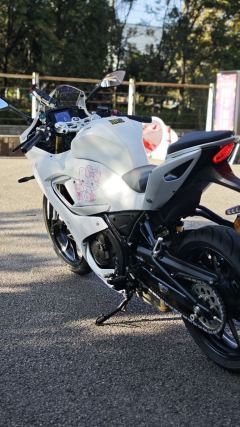 QJMOTOR SRK 250 - photo 8