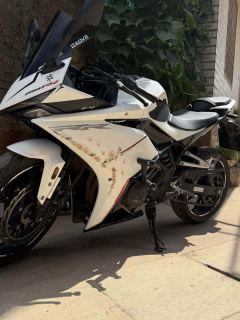 Kayo 250RR Thornbird - ფოტო 1